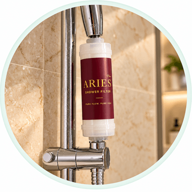 Step 2: Aries filter installed in the shower line.
